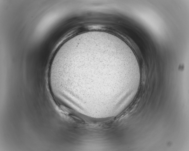 X0000090780861200708172126