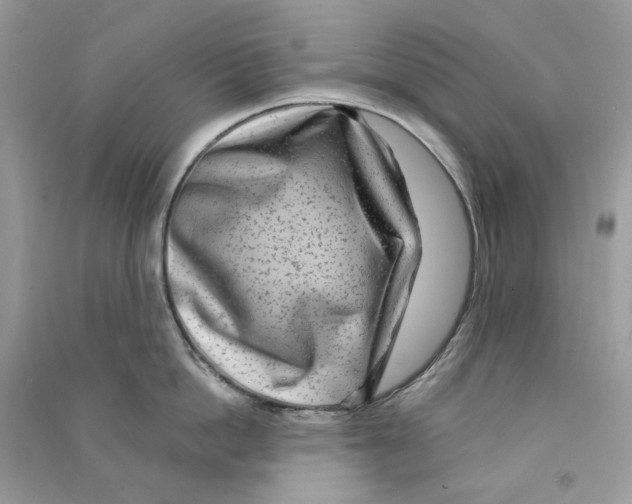X0000090780862200708172126