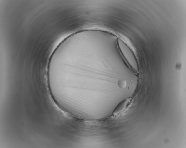 X0000090780863200708172126