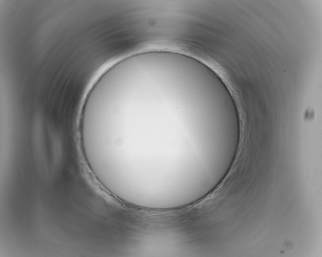 X0000090780864200708172126