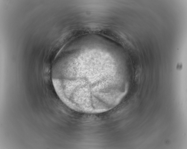 X0000090780866200708172126