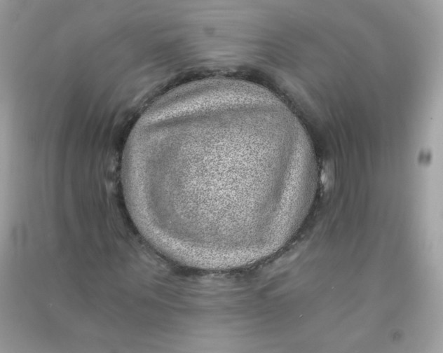 X0000090780867200708172126