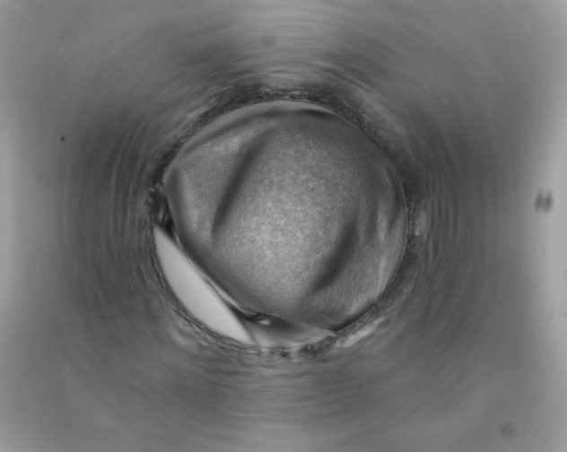 X0000090780868200708172126