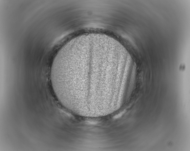 X0000090780870200708172126