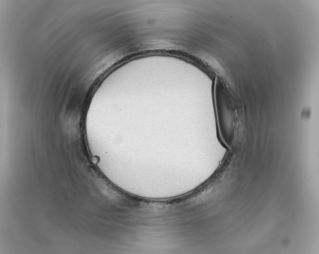 X0000090780873200708172126
