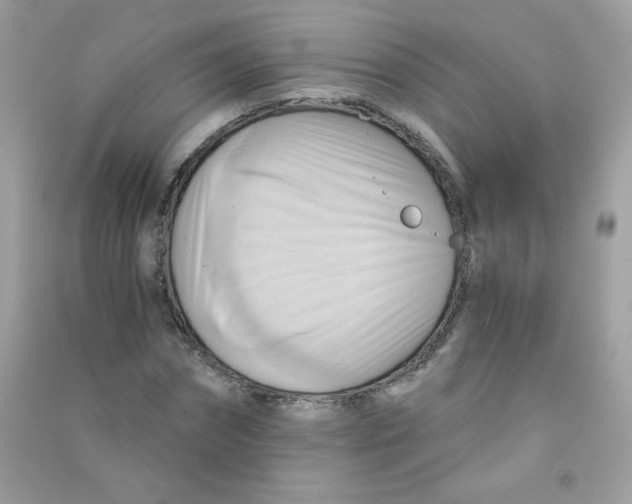 X0000090780874200708172126