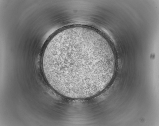 X0000090780875200708172126