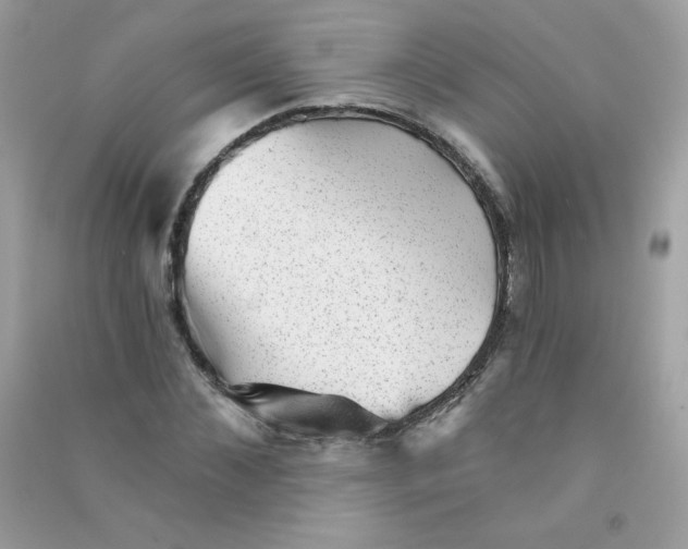 X0000090780876200708172126