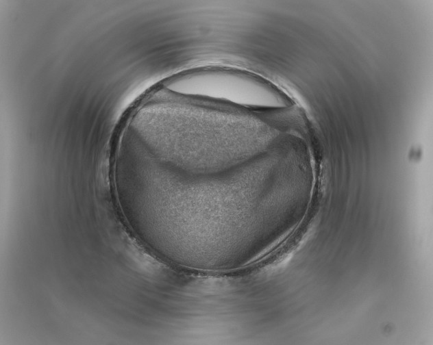 X0000090780877200708172126
