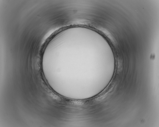 X0000090780878200708172126