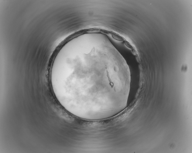 X0000090780879200708172126