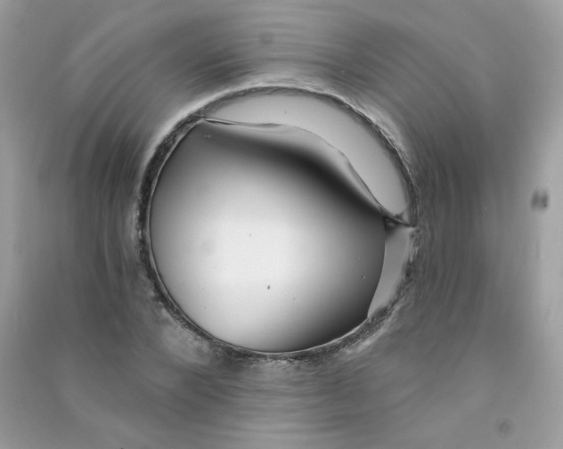 X0000090780880200708172126
