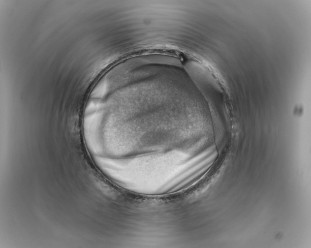 X0000090780881200708172126