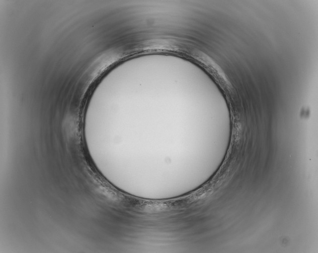 X0000090780882200708172126