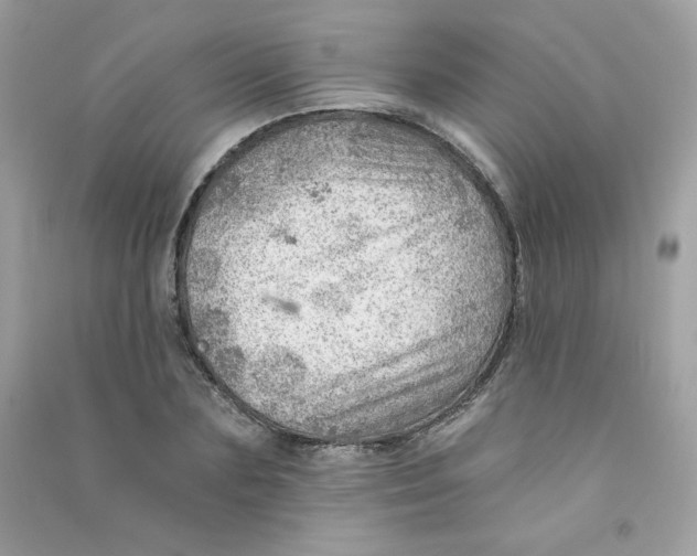 X0000090780883200708172126