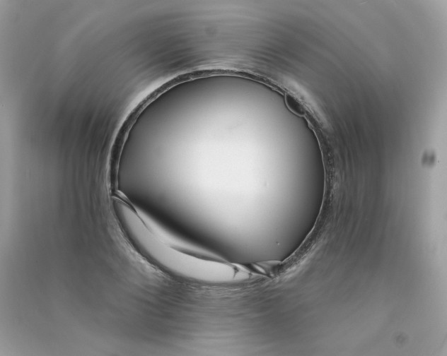 X0000090780884200708172125