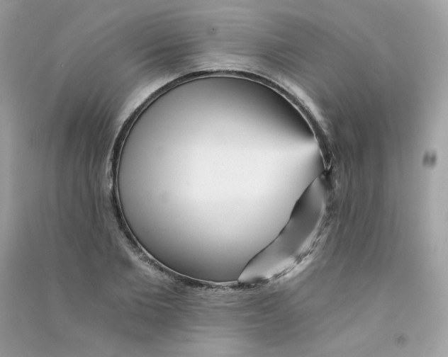 X0000090780885200708172125