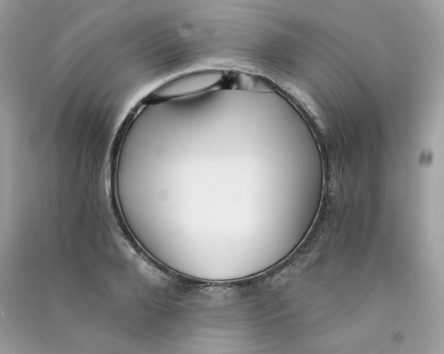 X0000090780888200708172125