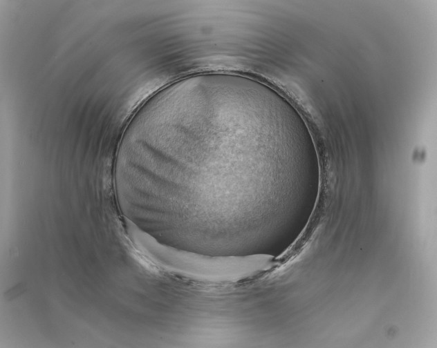 X0000090780889200708172125