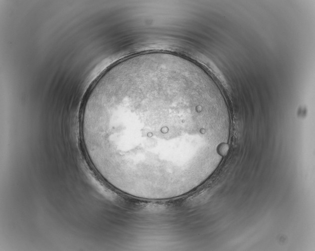 X0000090780890200708172125