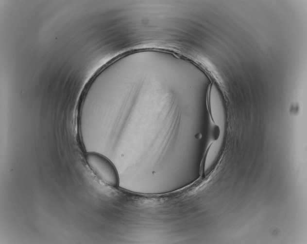X0000090780892200708172125