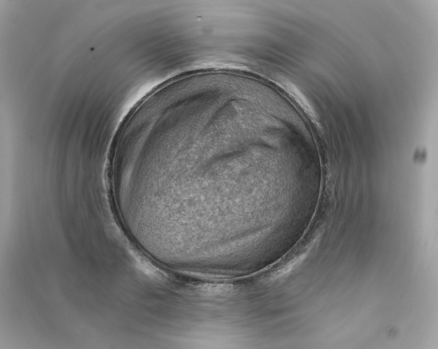 X0000090780893200708172125