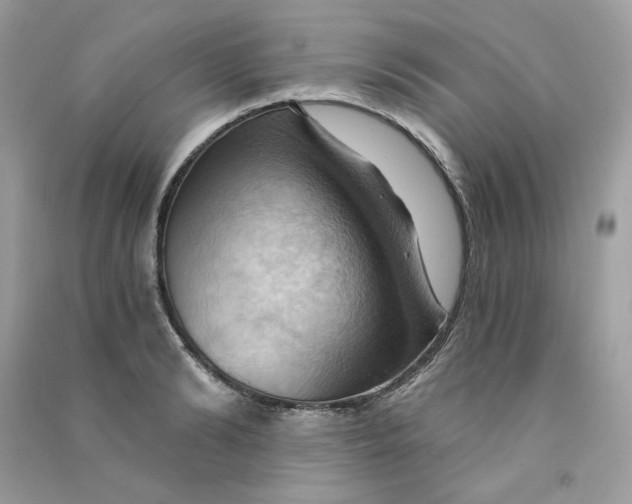 X0000090780894200708172125