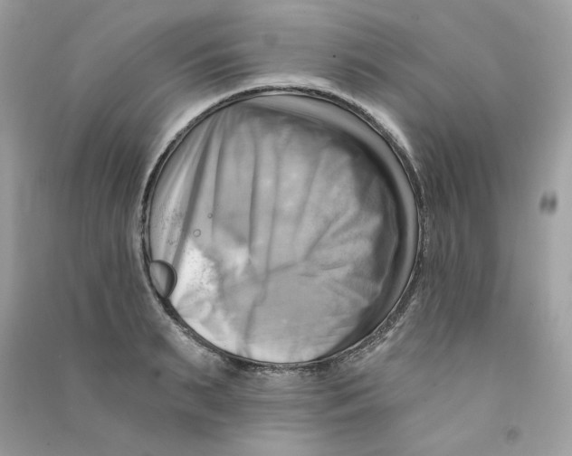 X0000090780895200708172125