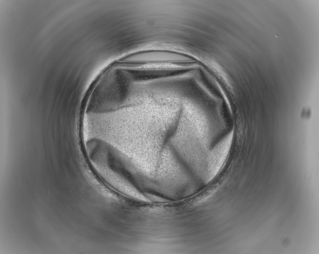 X0000090780896200708172125