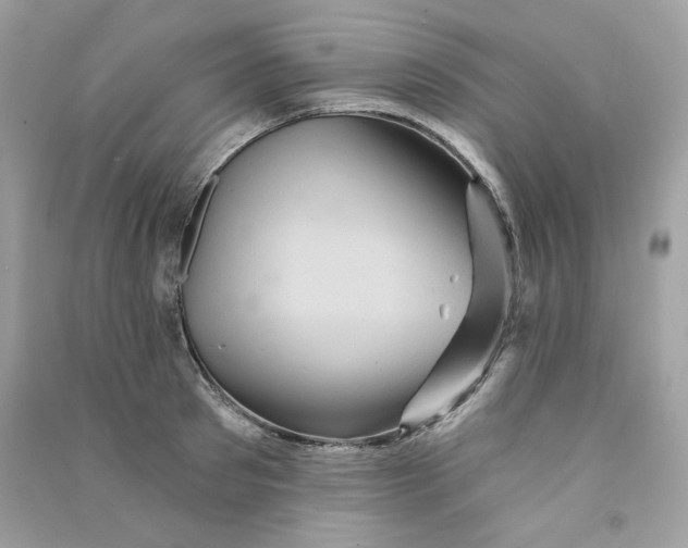 X0000090780897200708172125