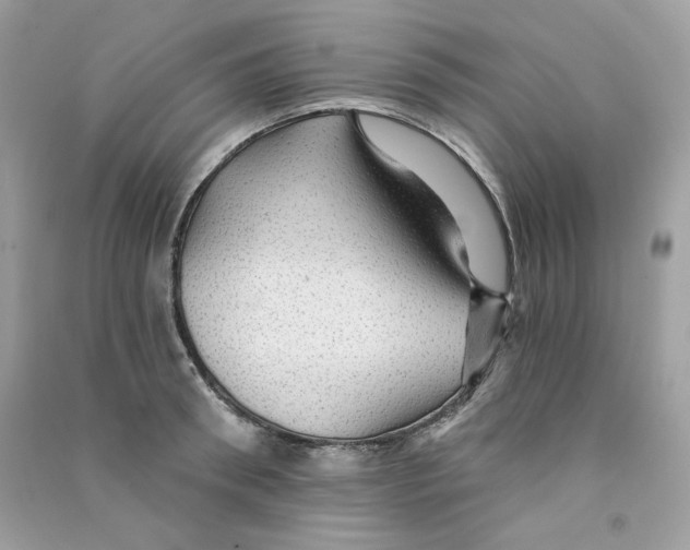 X0000090780898200708172125