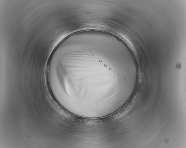 X0000090780899200708172125