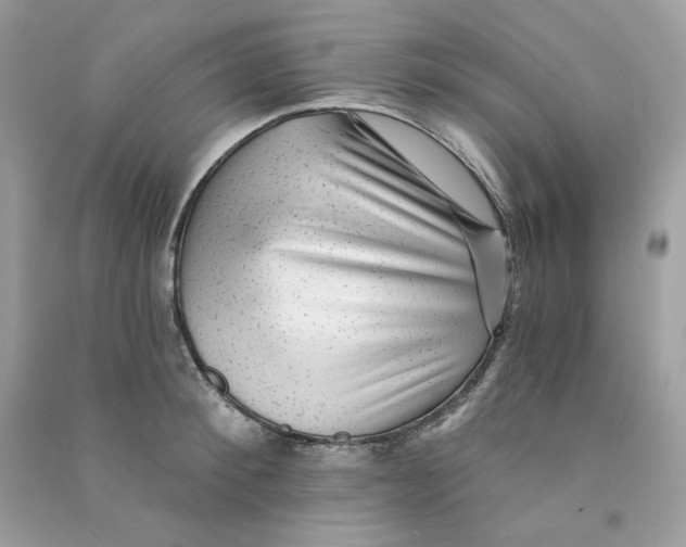X0000090780900200708172125