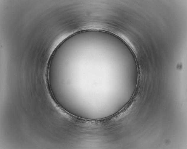 X0000090780901200708172125