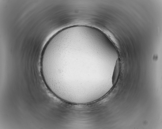 X0000090780904200708172125