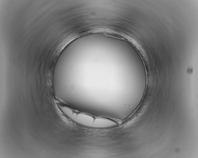 X0000090780905200708172125