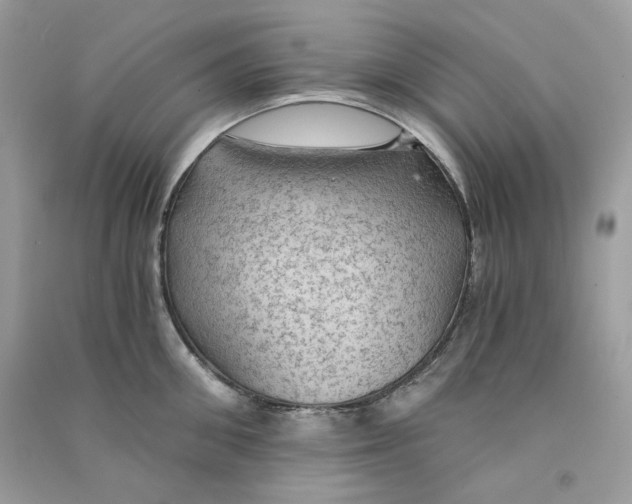 X0000090780906200708172125