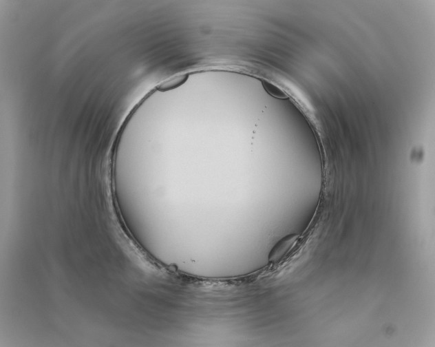X0000090780907200708172125