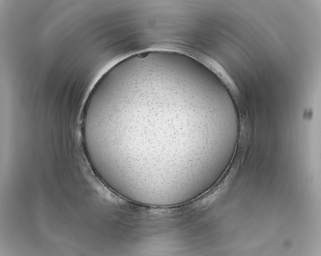 X0000090780908200708172125