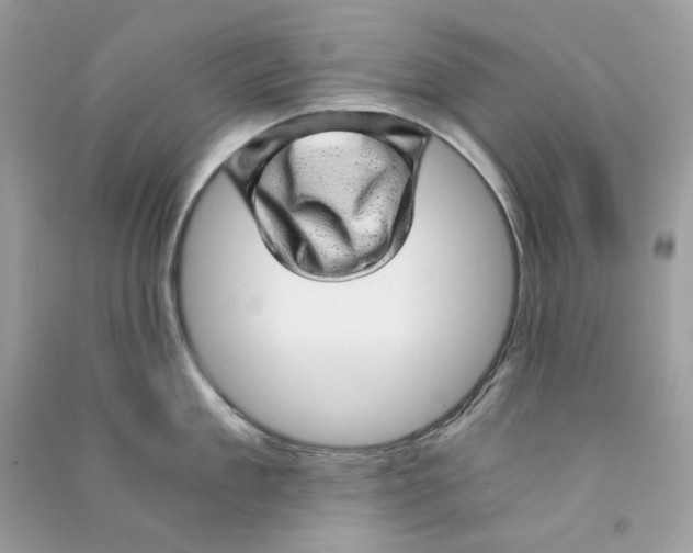 X0000090780909200708172125