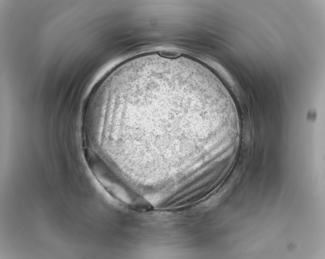 X0000090780910200708172125