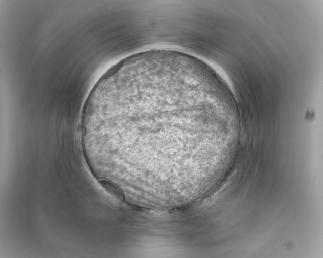 X0000090780911200708172125