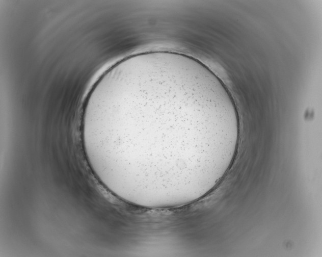 X0000090780912200708172125