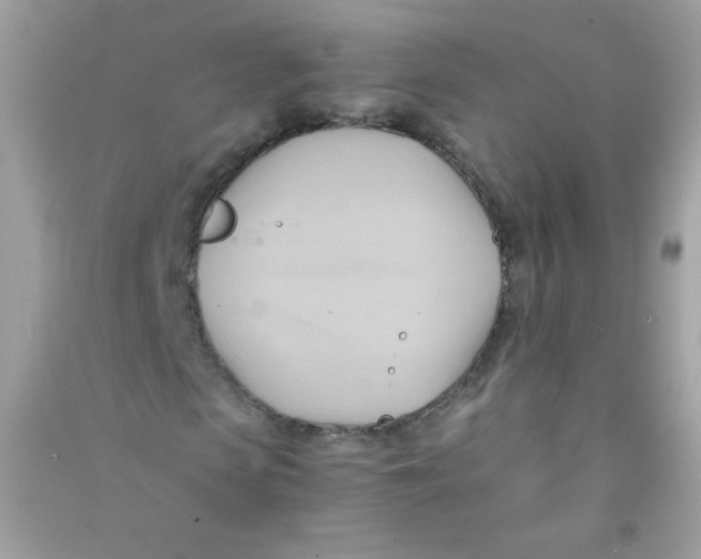 X0000090780913200708172125