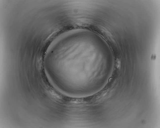 X0000090780915200708172125
