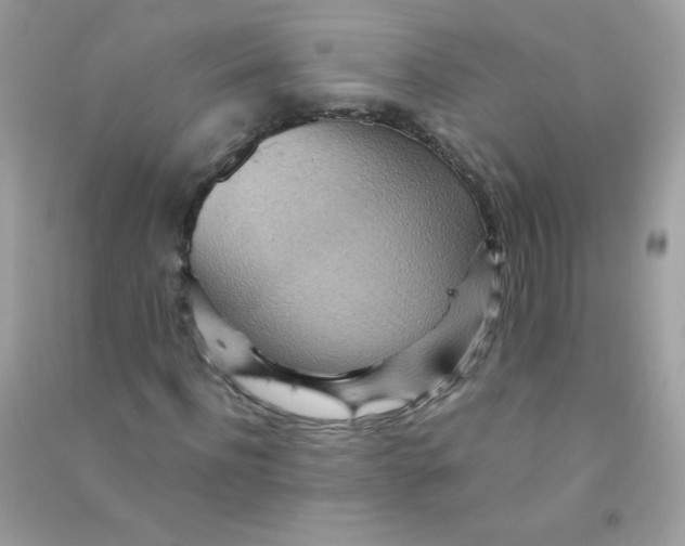 X0000090780916200708172125