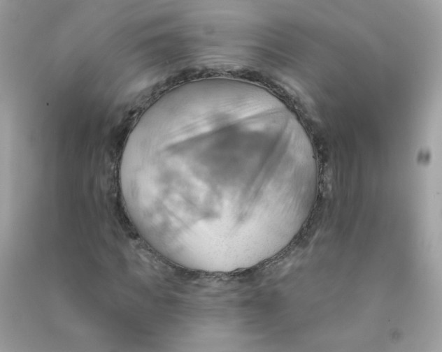 X0000090780917200708172125