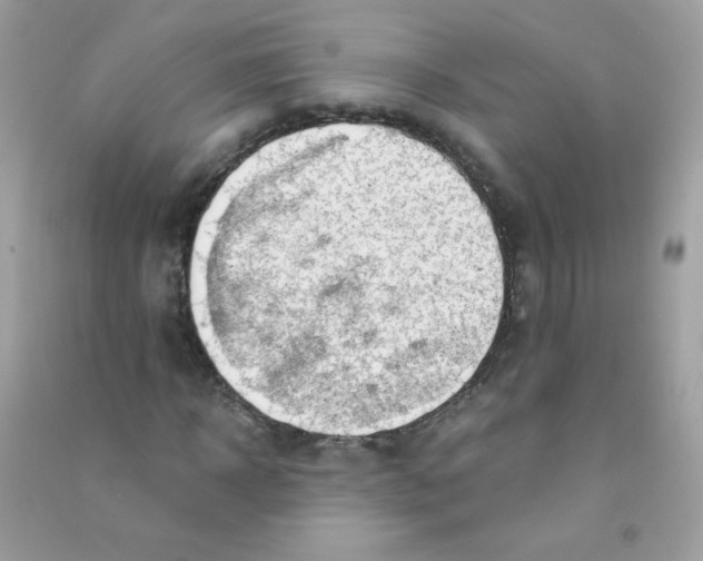 X0000090780918200708172125