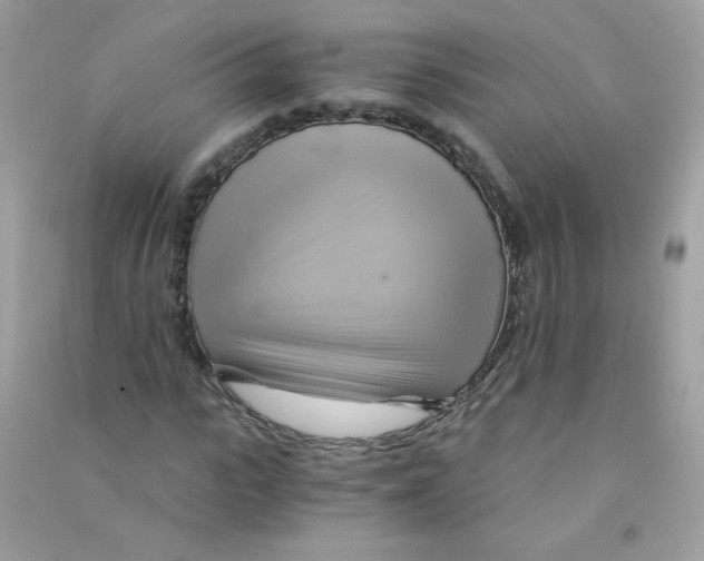 X0000090780919200708172125