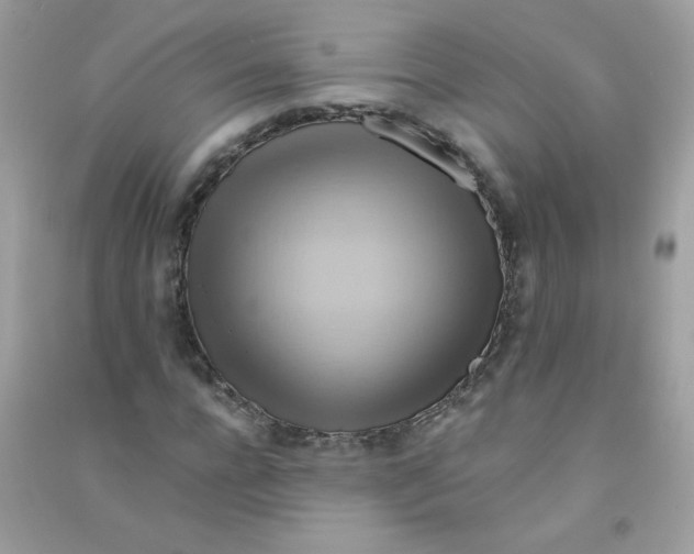 X0000090780920200708172125